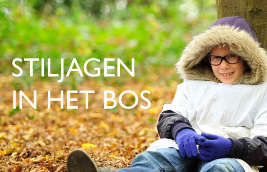 moerveld