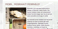 moerveld